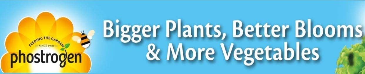Phostrogen All Purpose Plant Food, 400g, Plant and Edibles Fertiliser Feed, for Promoting Healthy Growth - Image 4