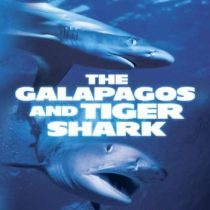 Shark Attack - The Galapagos And Tiger Shark [DVD]