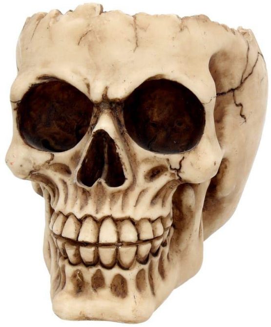 Nemesis Now Lobo Ashtray 13.5cm Ivory - Image 2