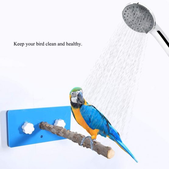 HEEPDD Parrot Perches, Suction Cup Window and Shower Perch Toy for Birds Budgies Parakeet Cockatiel Cockatoo African Greys(Fagara Wood) - Image 4