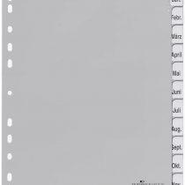 Durable 641010 File Dividers made of PP Blank Tabs for A4 12 Sheets Grey