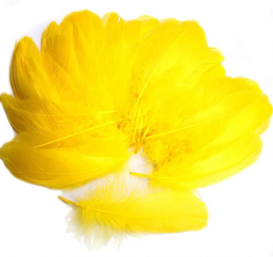 Feather for Crafts,250 Pcs Coloured Feather Striking Feathers for DIY Dream Catchers Natural Crafts Feathers for Wedding/Party/Decorations(3 Sizes) (Yellow) - Image 4