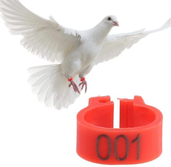 HEEPDD Bird Leg Rings, 100Pcs/Bag 8MM 001-100 Numbered Plastic Leg Bands Rings Dove Clip Rings Band(Red)