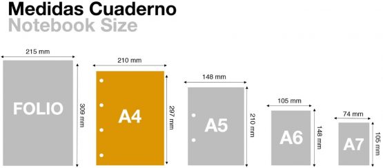 Miquelrius Refill 100 Sheets, 4 mm Margin Grid, A4 Size, 4 Drills, 90 gr Paper - Image 3