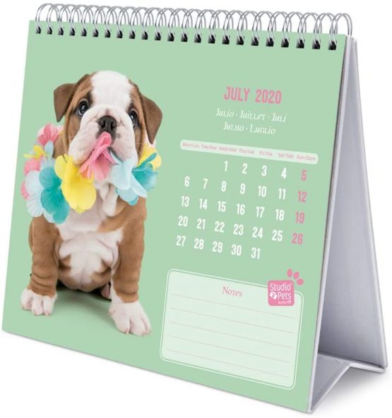 ERIK - Studio Pets Dogs 2020 Desk Calendar - 12 Months,CS20004 - Image 3