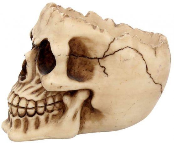 Nemesis Now Lobo Ashtray 13.5cm Ivory - Image 3