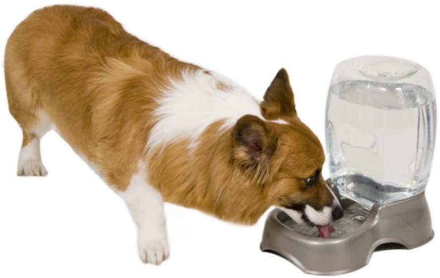 Petmate Cafe Waterer, Small, 5.7 Litre, Pearl Silver Grey - Image 2