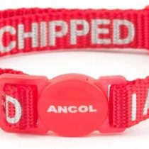 Ancol I Am Microchipped Cat Collar with Safety Buckle, Red