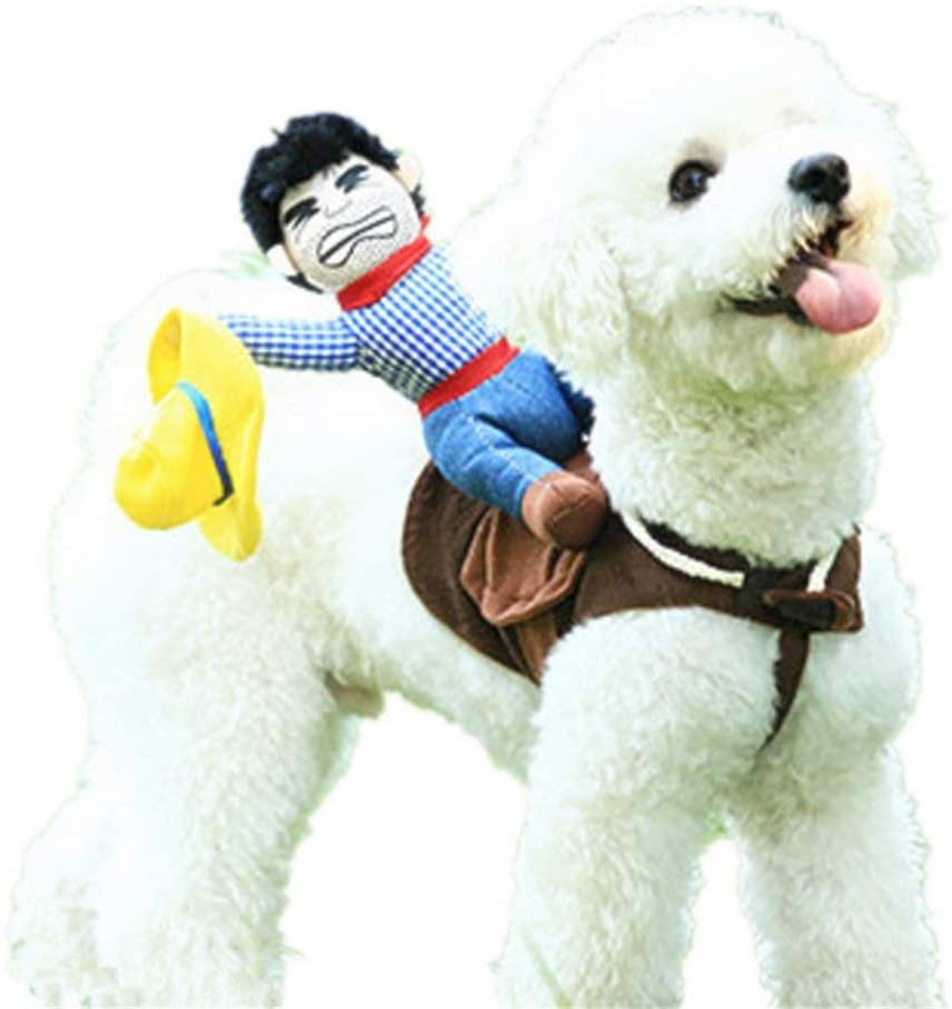 DELIFUR Dog Costumes Pet Costume Pet Halloween Suit Cowboy Rider Style Dogs Outfits(XS), Knight