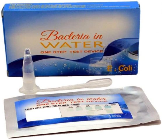 well bacteria test