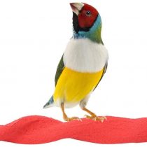 Wooden Bird Perch Rod Frosted Rod Standing Frame Stand Pole Parrot Chewing Biting Grinding Nail Toy Parrot Scratching Stick Perch Red