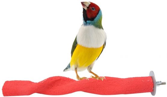Wooden Bird Perch Rod Frosted Rod Standing Frame Stand Pole Parrot Chewing Biting Grinding Nail Toy Parrot Scratching Stick Perch Red