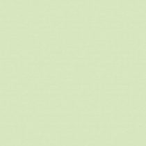 Baier & Schneider karteikarton Cards 180 g/m² Green A6 Landscape", Vacuum Packed