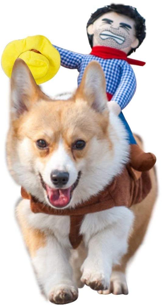 DELIFUR Dog Costumes Pet Costume Pet Halloween Suit Cowboy Rider Style Dogs Outfits(XS), Knight - Image 2