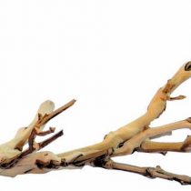Exo Terra Forest Branch, Small (Exact Size May Vary)