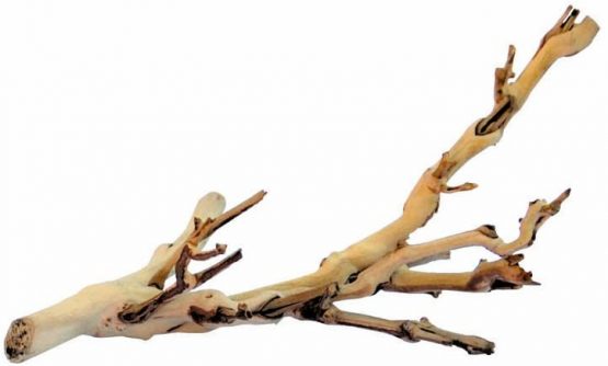 Exo Terra Forest Branch, Small (Exact Size May Vary)
