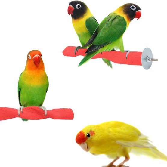 Wooden Bird Perch Rod Frosted Rod Standing Frame Stand Pole Parrot Chewing Biting Grinding Nail Toy Parrot Scratching Stick Perch Red - Image 4