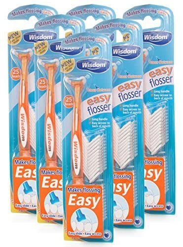 Wisdom Easy Floss Daily Flosser 6 Packs, 6 count (Pack of 1)