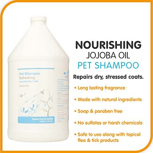Nootie Nourishing Sweet Pea and Vanilla with JoJoba Oil Pet Shampoo, 1 gal, 3.78 l (Pack of 1) - Image 2