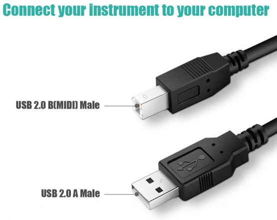 USB B MIDI Cable for Instruments 25 FT, Ancable USB A to USB B cable Compatible with Piano, Midi Controller, Midi Keyboard, Audio Interface Recording, USB Microphone and More - Image 2
