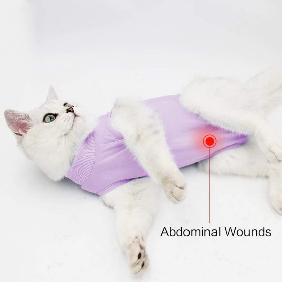 Cat Professional Recovery Suit for Abdominal Wounds or Skin Diseases, E-Collar Alternative for Cats and Dogs, After Surgery Wear, Home Clothing (S, Purple) - Image 4
