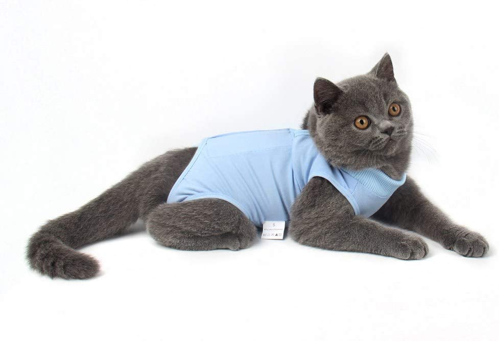 cat after surgery shirt