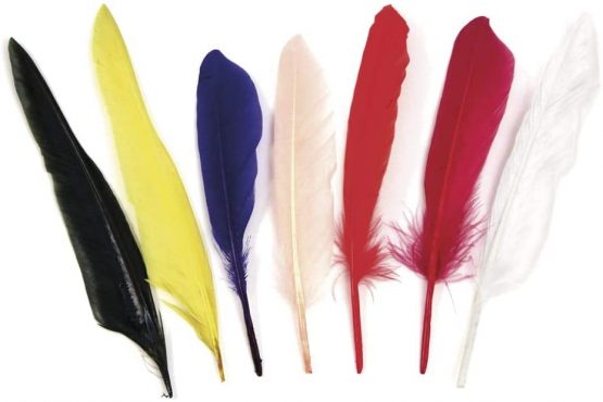 RAYHER Coloured Feathers, Multi-Colour, 17.5 cm, 75-Piece