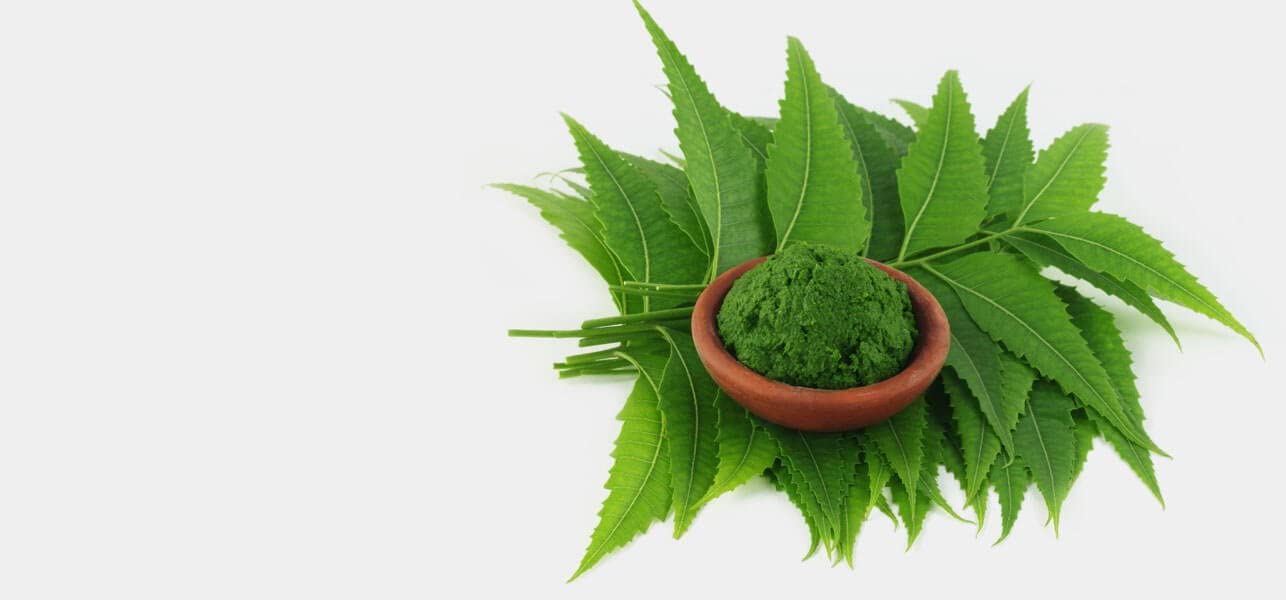 Himalaya Purifying Neem Mask with the Goodness of Neem & Turmeric Best Suited for Normal to Oily Skin -75ml - Image 3