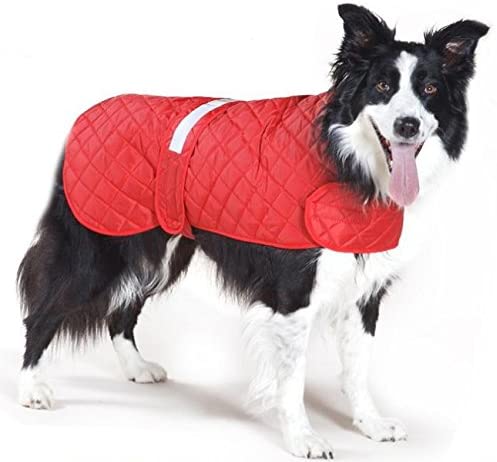 Cosipet Safety Anorak, 30-inch/ 76 cm, Red, 30-inch/76 cm