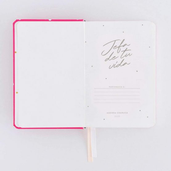 2020 Week to View Diary Head Power Pink. Mini - Image 4