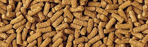 Tetra Wheatgerm Pond Fish Food Sticks 1.4kg - for cold weather feeding, 1 ml (Pack of 7000) - Image 2