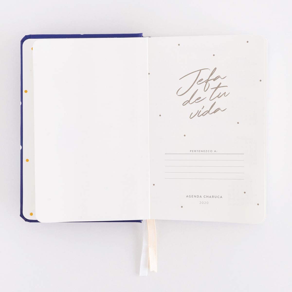 2020 Week to View Diary Chief Navy. Mini, multicoloured, Talla única - Image 4