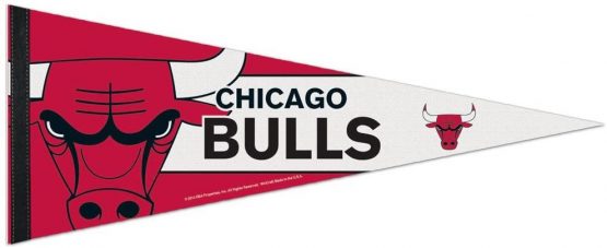 Wincraft NBA 69595014 Chicago Bulls Premium Pennant, 12" X 30"