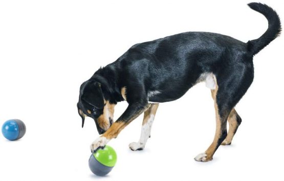PetSafe Ricochet Electronic Dog Toys, Interactive Sound Game for Pets, Paired Electronic Squeak Toys - Image 2