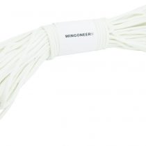 WINGONEER 550 Paracord Mil Spec Type III 7 strand parachute cord 100 feet