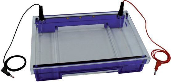 Neolab 7 – 0221 Comb Elektrophorese Chamber, 22 Pockets, Capacity 45 µl, 1.5 mm, 7.5 mm