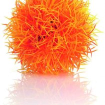 biOrb Topiary Ball orange