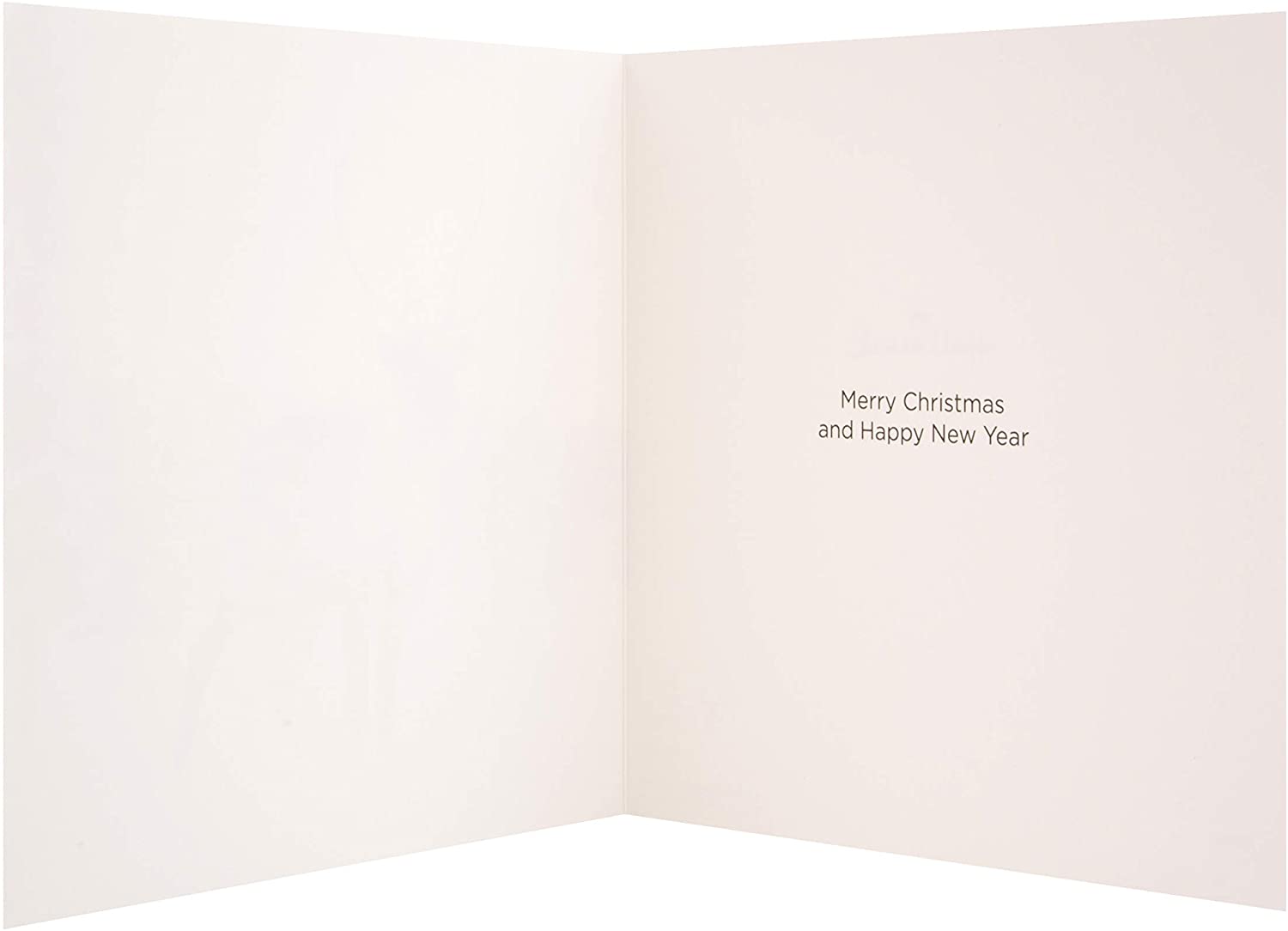Photographic Winter Nature Christmas Cards from Hallmark - Pack of 16 in 2 Designs - Image 3