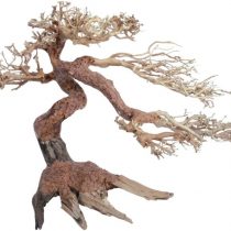 Croci Wood Oriental Wind 5 Medium 1 Count 21 g