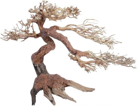Croci Wood Oriental Wind 5 Medium 1 Count 21 g