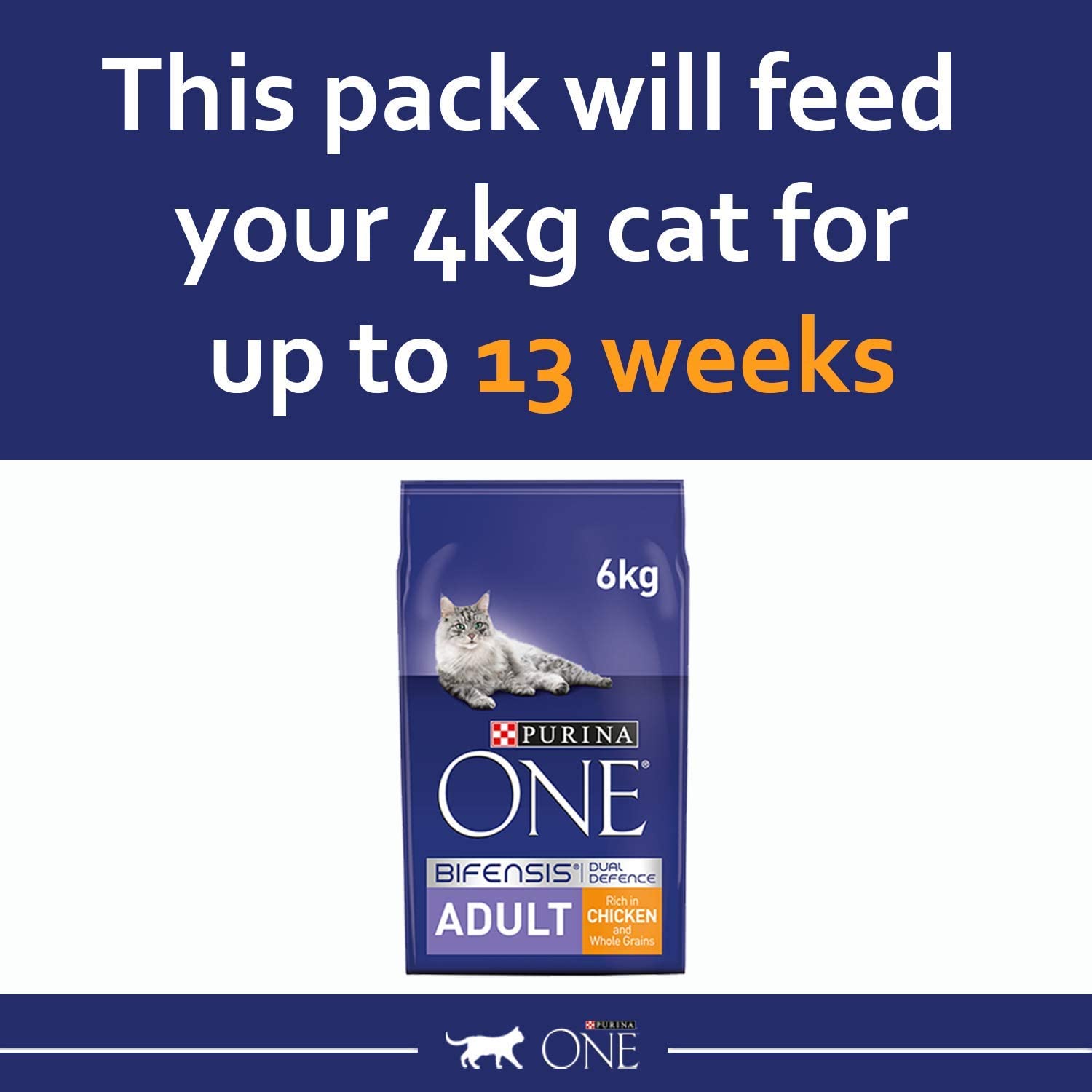 PURINA ONE Chicken Dry Cat Food 6kg, Clear, 6 kg (Pack of 1) - Image 4