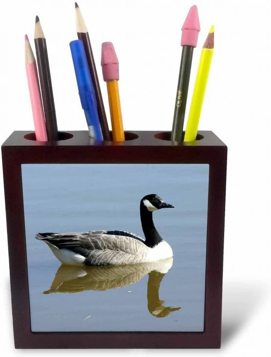 3dRose ph_23921_1 5-Inch"Canadian Goose" Tile Pen Holder - Image 3