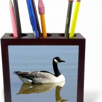 3dRose ph_23921_1 5-Inch"Canadian Goose" Tile Pen Holder