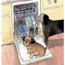 Alex Clark Tea Towel - Canine Cleaning Services