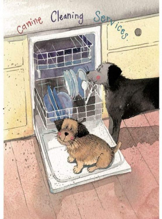 Alex Clark Tea Towel - Canine Cleaning Services