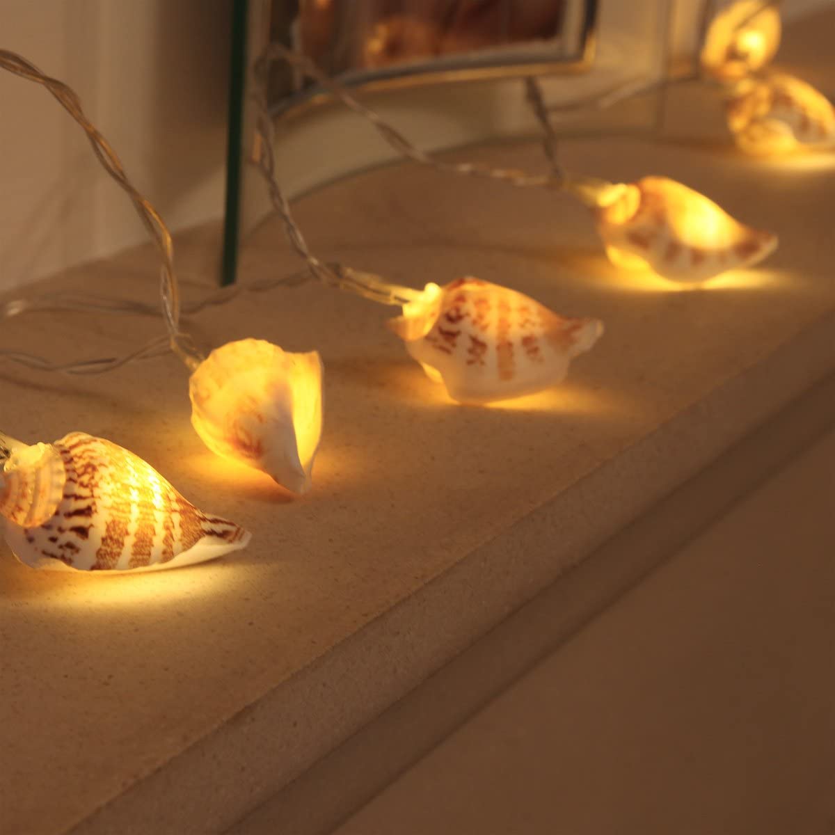 Festive Lights, 1.5m Battery Powered Real Sea Shell Fairy Lights, 10 Warm White LEDs on Discreet Clear Cable - Image 2