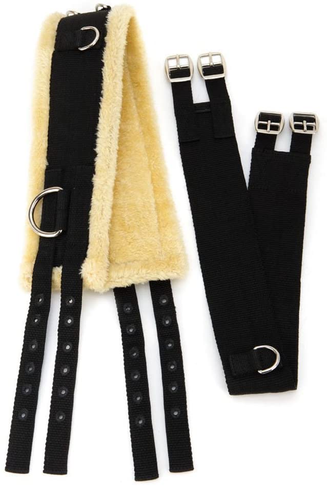 Shires Nylon Lunge Roller With Fleece Padding in Black Cob, Black