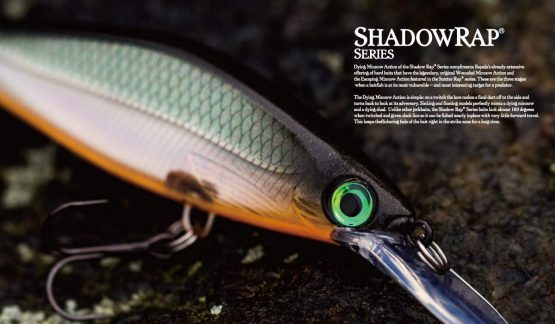 Rapala Shadow Rap Shad Deep 09 Fishing Lures - Image 3