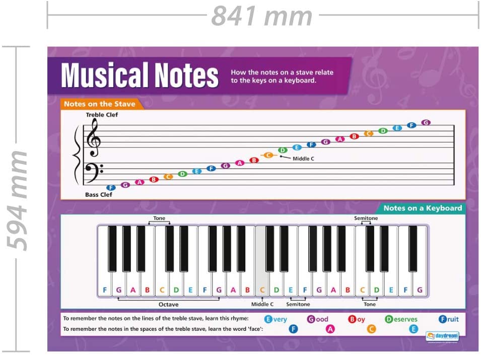 Daydream Education Musical Notes Classroom Poster - EXTRA LARGE - A1 (850mm x 594mm) - Laminated - Secondary School Music Wall Charts - Image 2