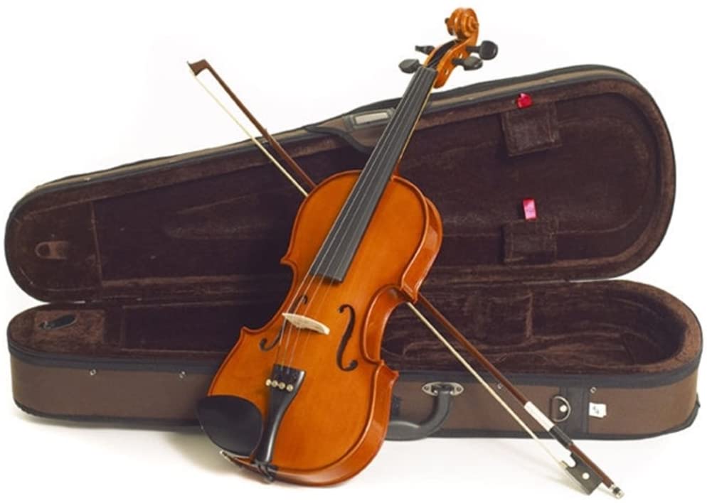 Stentor Violin Standard 4/4, Green,Black, 44655